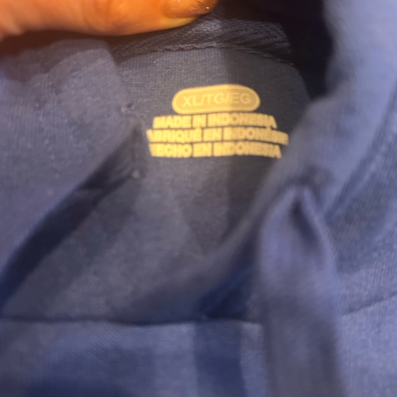 Blue World Series Champions 2024 Hoodie sweatshirt LA Dodgers Men's XL - Picture 2 of 2